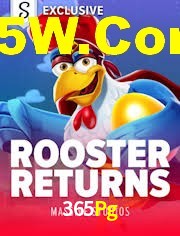 Crash Games Strategies 365Pg